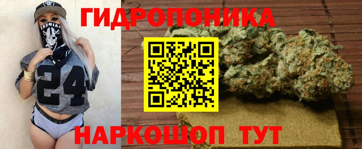 Конопля ГИДРОПОН Грязи